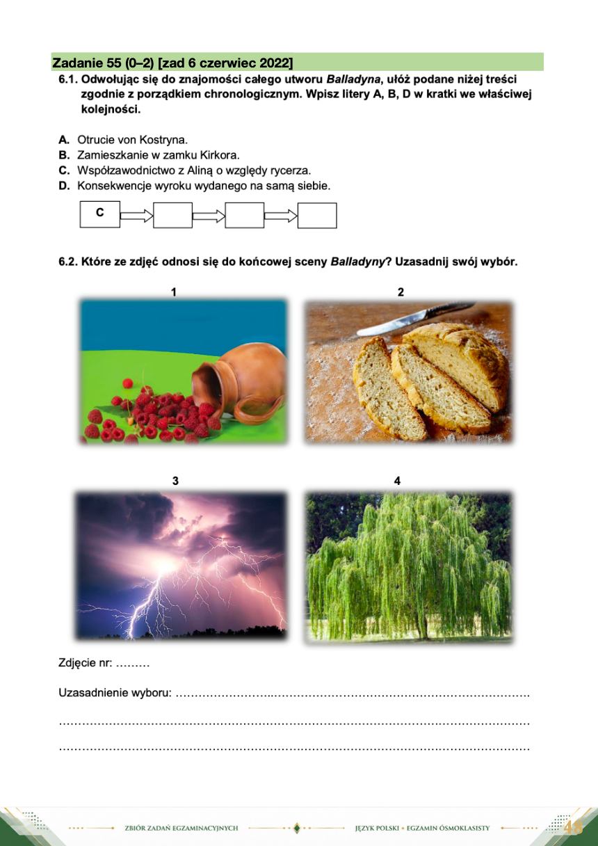 Zbiór zadań egzaminacyjnych do egzaminu ósmoklasisty z języka polskiego EBOOK E8
